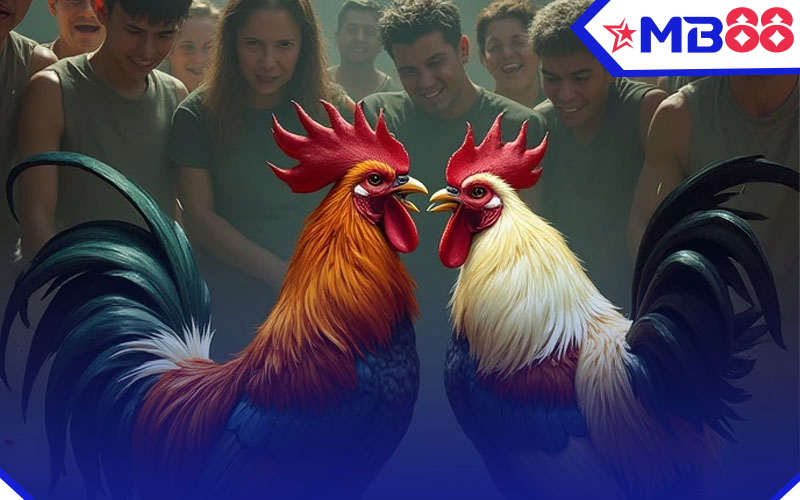 Đá Gà 1 Tham gia ngay đá gà casino online đổi thưởng tại MB88