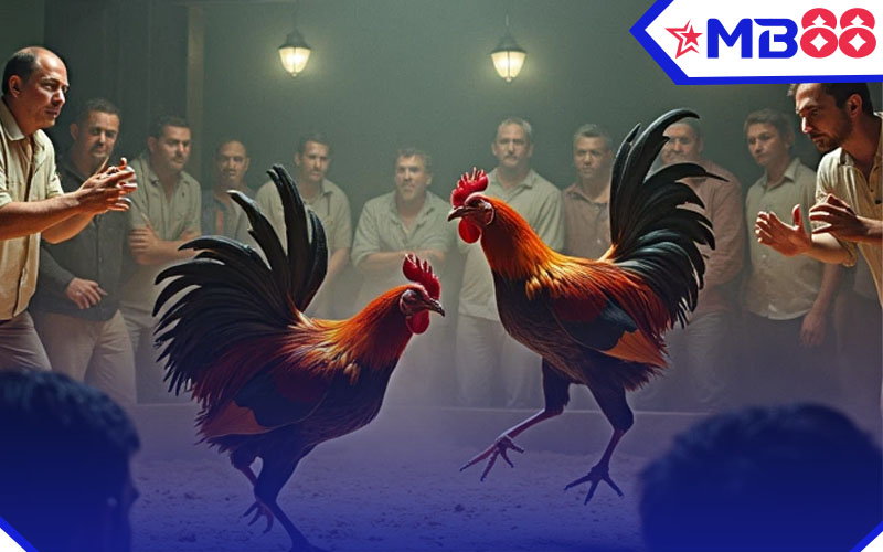 Đá Gà 4 MB88 game đá gà online với tỷ lệ trả thưởng hấp dẫn