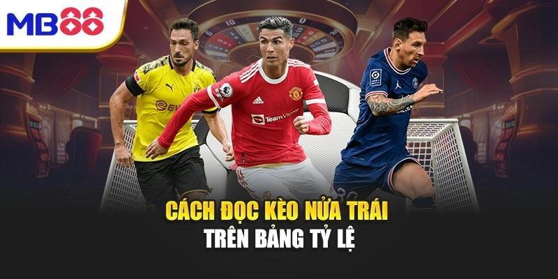 Cách đọc kèo nửa trái trên bảng tỷ lệ