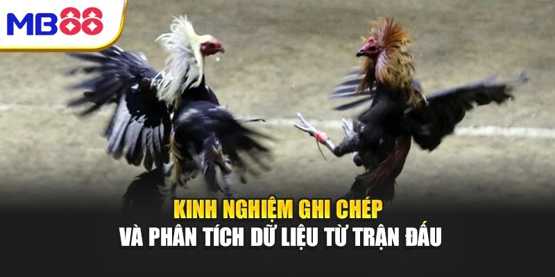 Cách Chơi Đá Gà Mb88 – Bí Quyết Chinh Phục Đỉnh Cao Giải Trí 5 Kinh nghiệm ghi chép và phân tích dữ liệu từ trận đấu