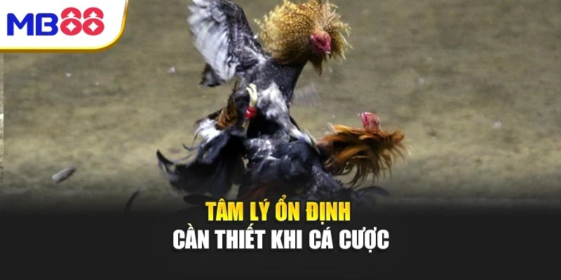 Cách Chơi Đá Gà Mb88 – Bí Quyết Chinh Phục Đỉnh Cao Giải Trí 4 Tâm lý ổn định cần thiết khi cá cược